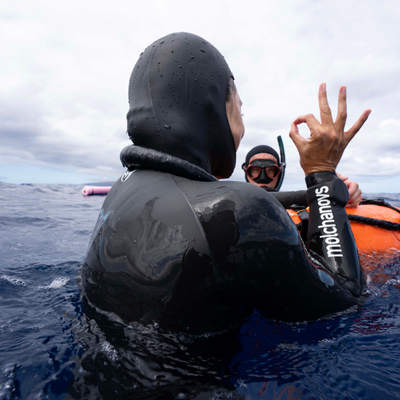 How to Check Your Molchanovs Freediving Instructor in 5 Seconds: A Step-By-Step Guide