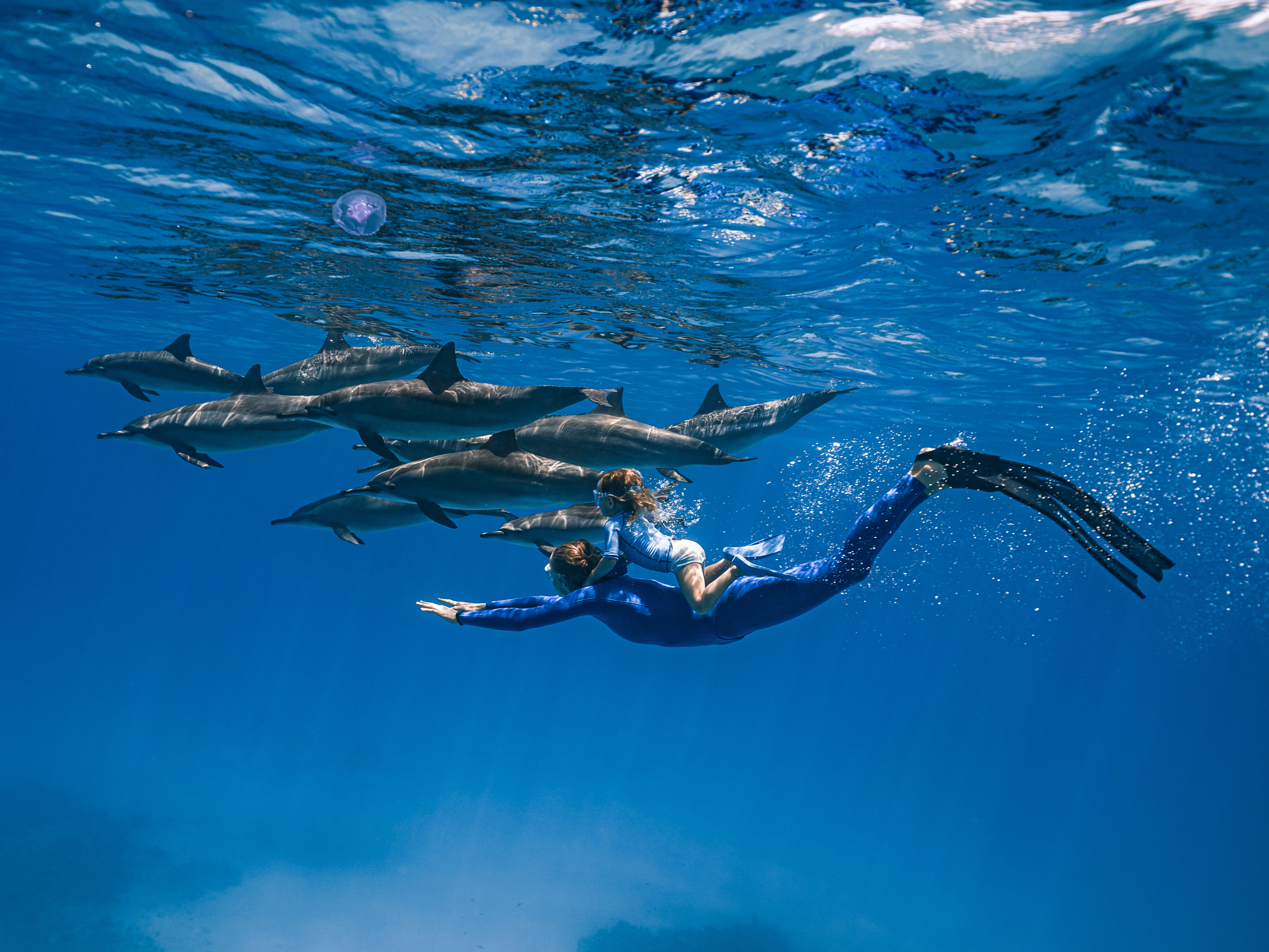 How To Start Freediving