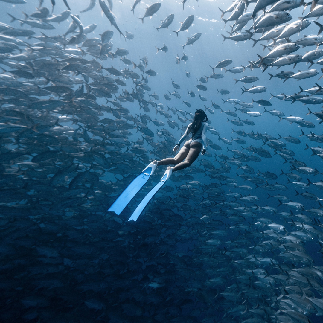Fins