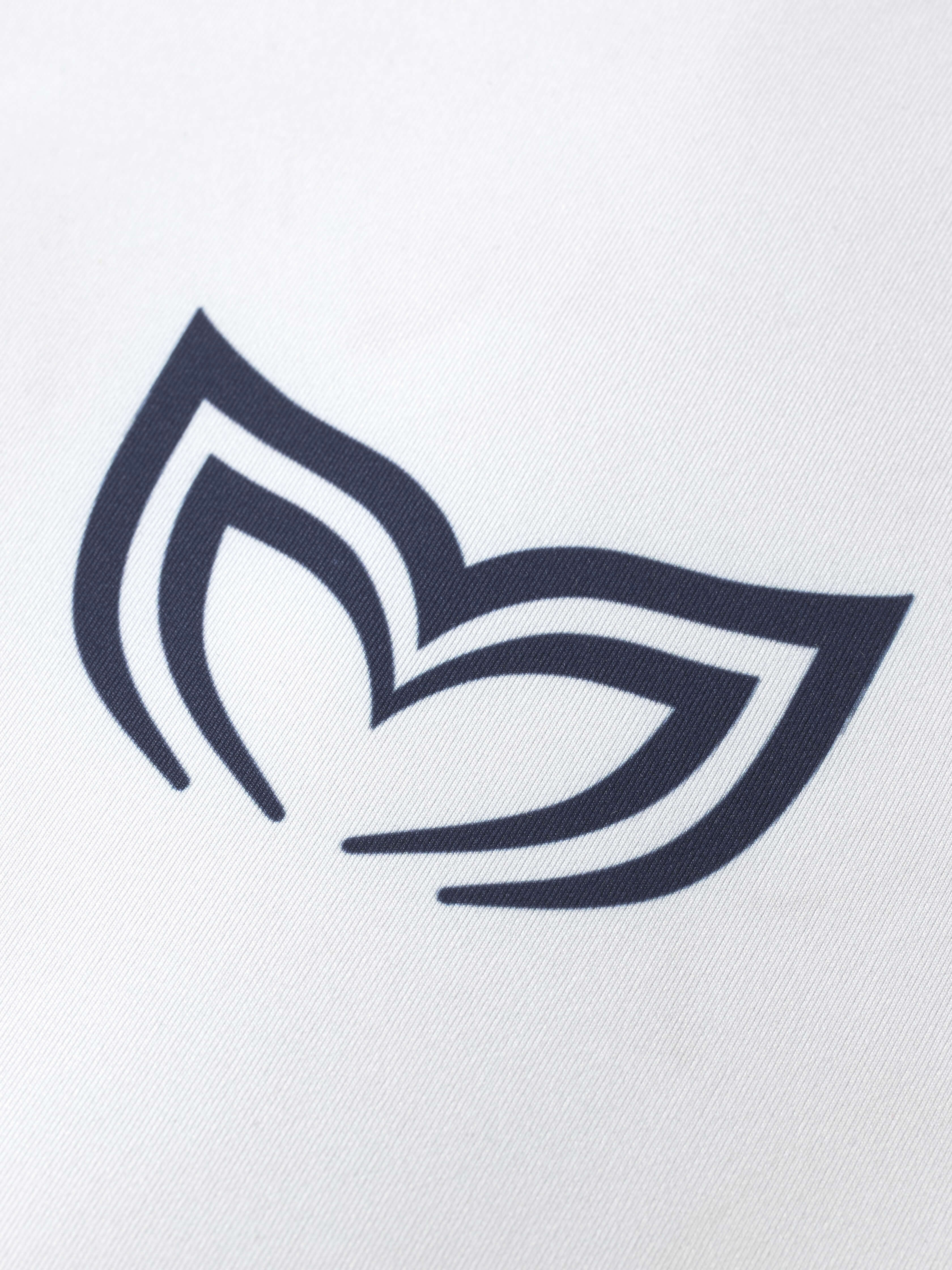 Molchanovs logo on white background close-up