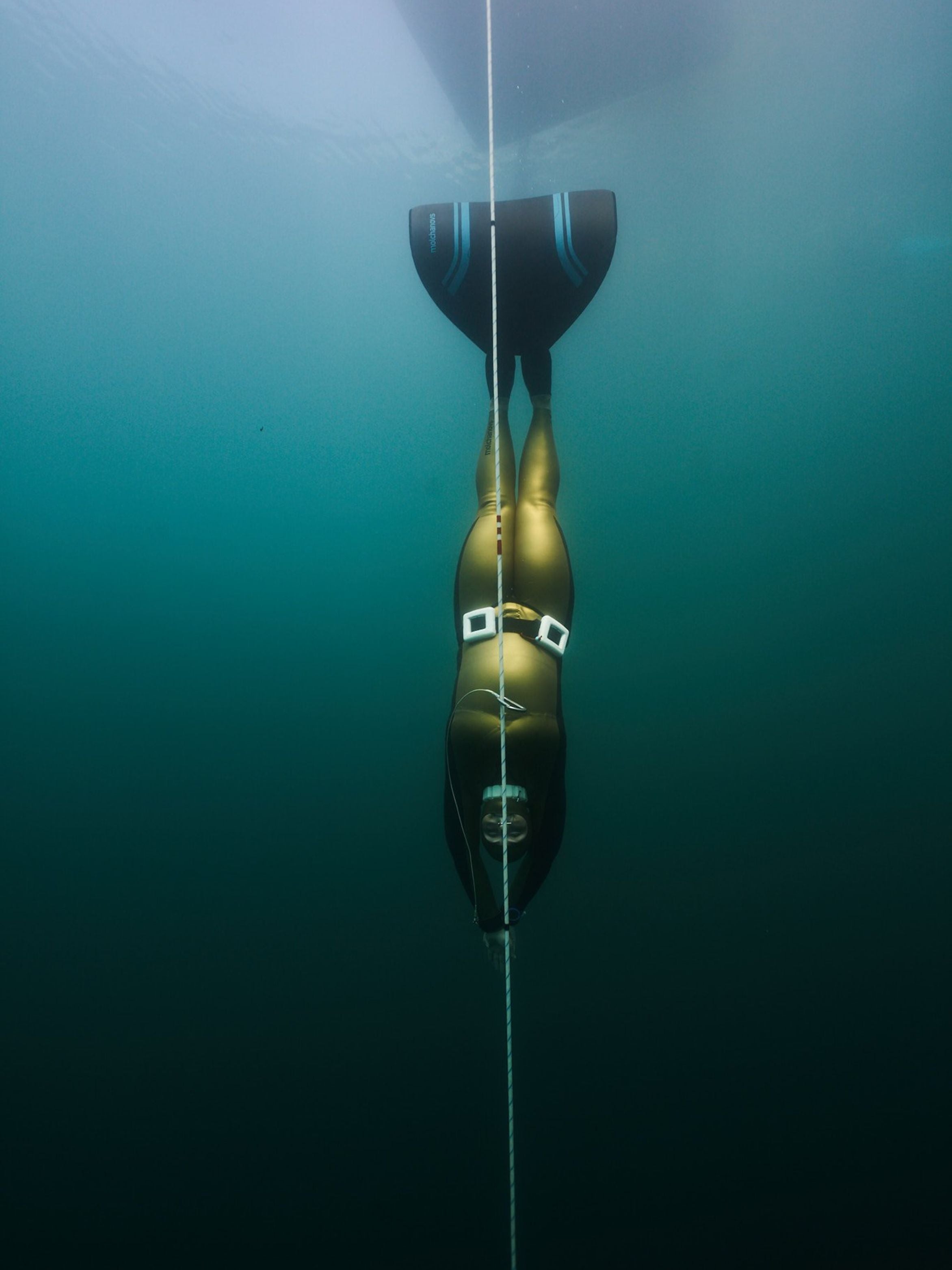 Freediver descending head-down in a Molchanovs PRO gold unlined wetsuit along a dive line in cold open water