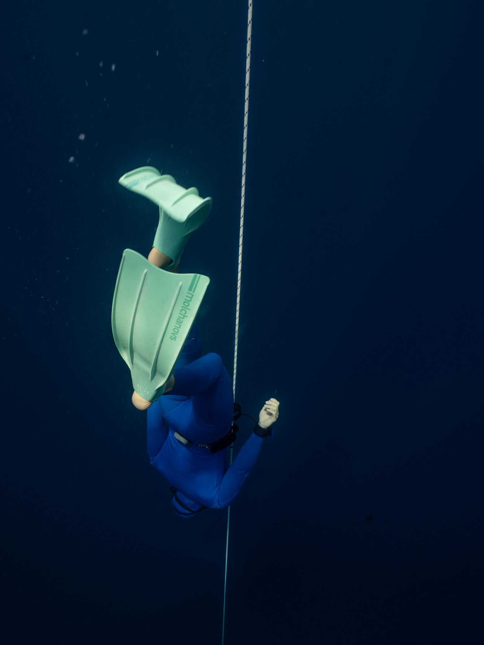 Limited Edition Mint CORE Silicone Bifins – Molchanovs